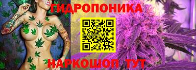 2c-b Славгород